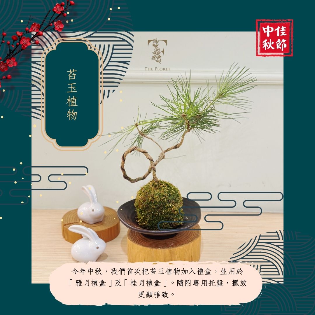 碧月禮盒