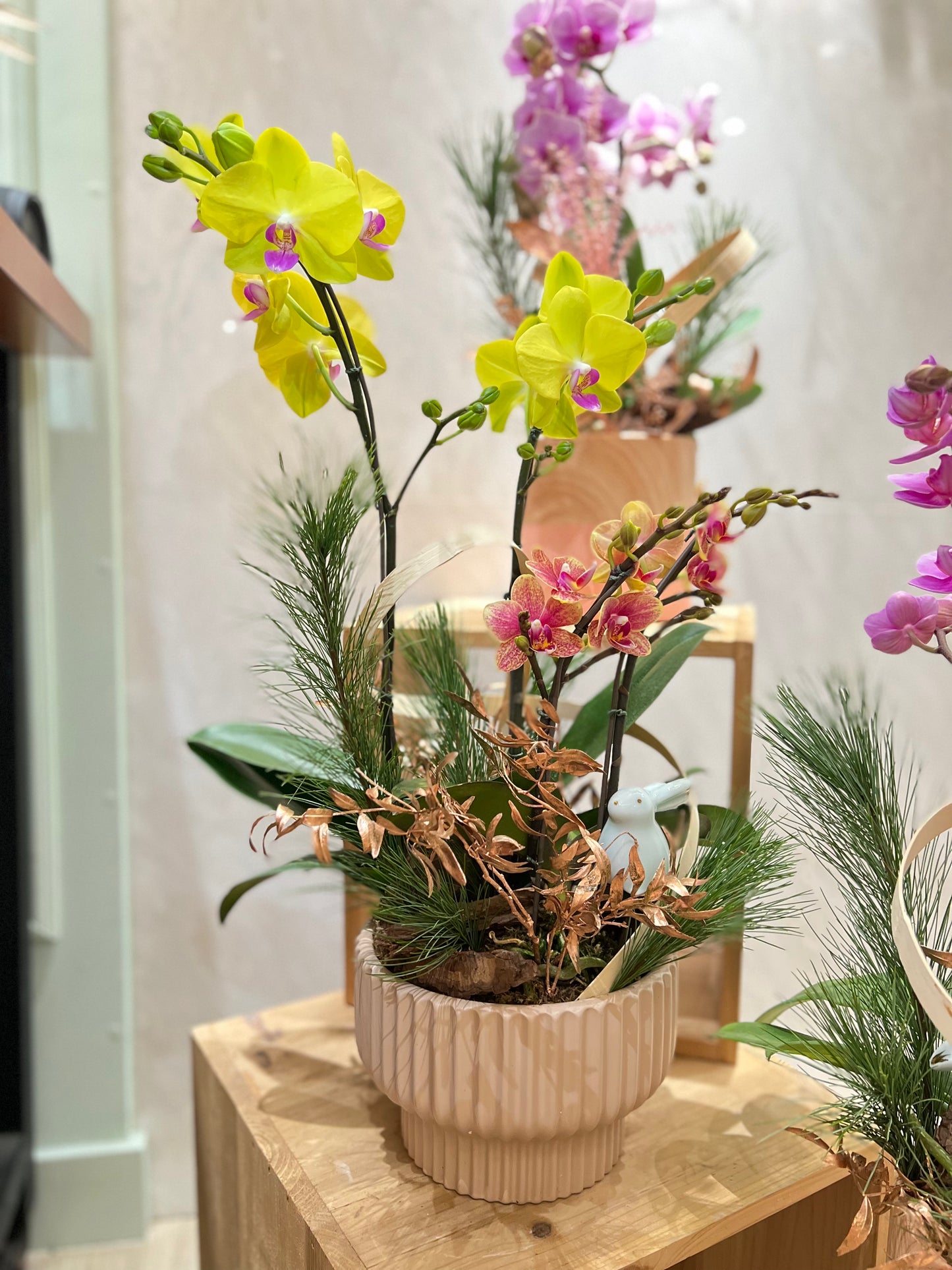3 Stems