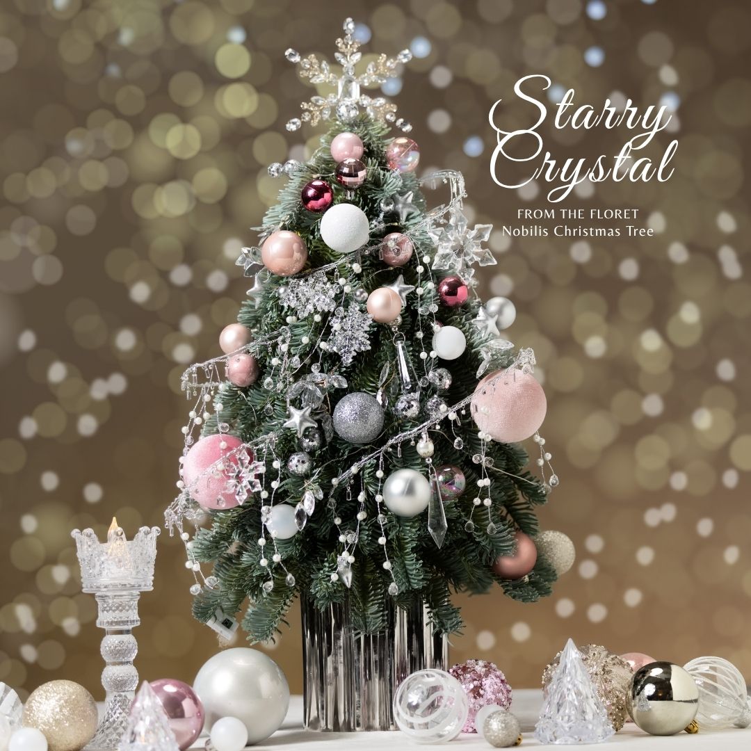 Starry Crystal Collection