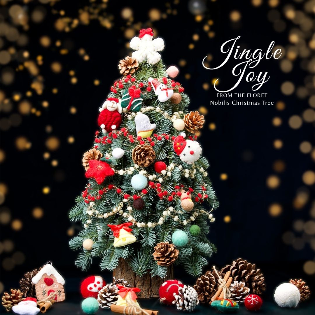 Jingle Joy Collection