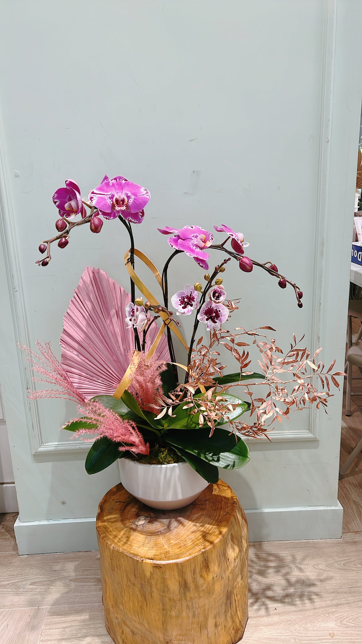 3 Stems
